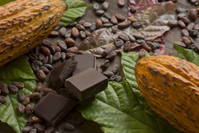 Verifique a Quantidade de Cacau Contida no Chocolate Diet