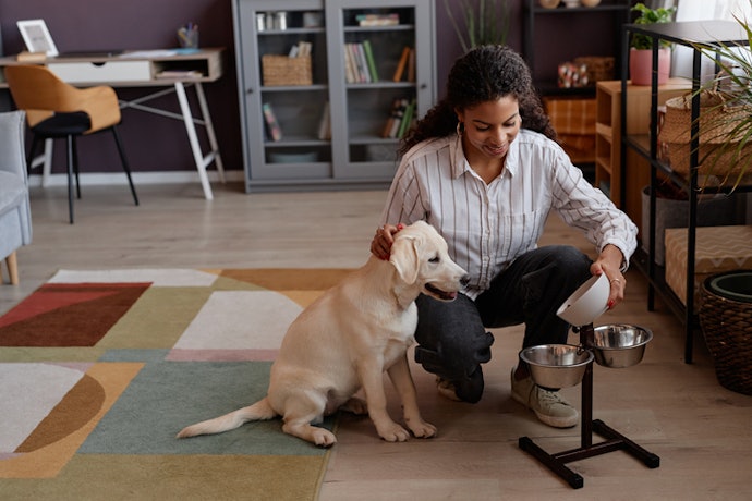 Ração Natural para Cachorro Filhote: Opte por Fórmulas com 28% de Proteínas de Qualidade