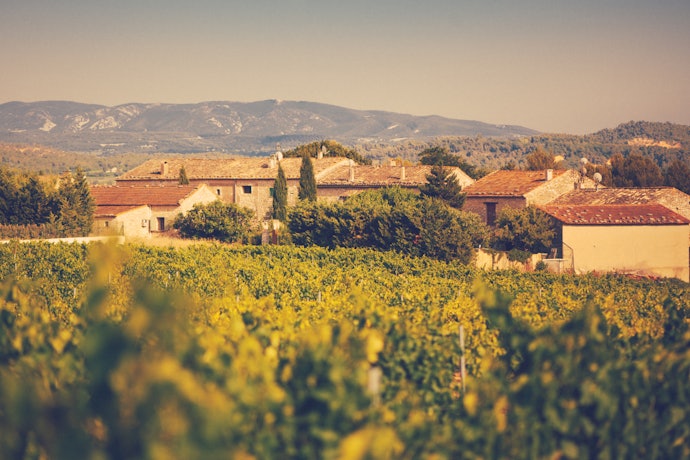 Países de Clima Quente: Vinhos mais Frutados e Macios, com menos Acidez