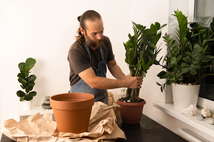 Se a Espécie Precisa do Solo mais Seco, Escolha Vasos de Planta de Cerâmica Natural