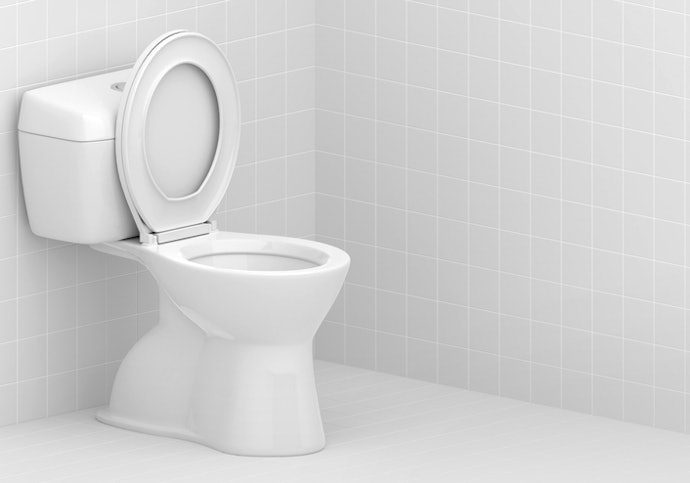 Para Banheiros Pequenos, Prefira um Vaso Sanitário Redondo