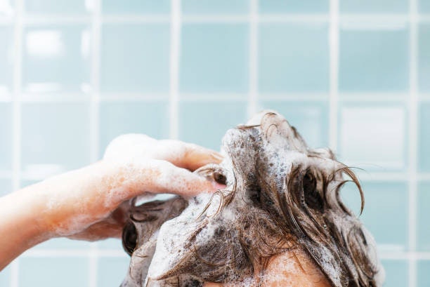 Para Usar Durante o Banho, Opte por Shampoo, Loções ou Emulsões Contra Piolhos