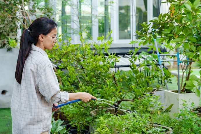 Vai Usar com Frequência? Escolha uma Mangueira de Jardim Emborrachada