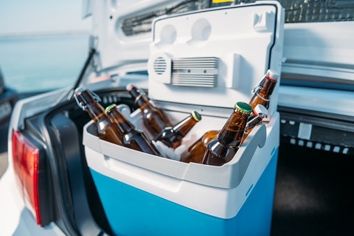 Se Quiser Apenas Manter a Temperatura dos Itens, Escolha uma Geladeira Automotiva Termoelétrica