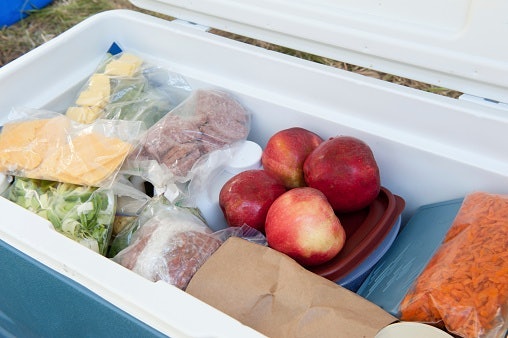 Para Gelar e Congelar Alimentos ou Bebidas, Prefira uma Geladeira Automotiva com Compressor
