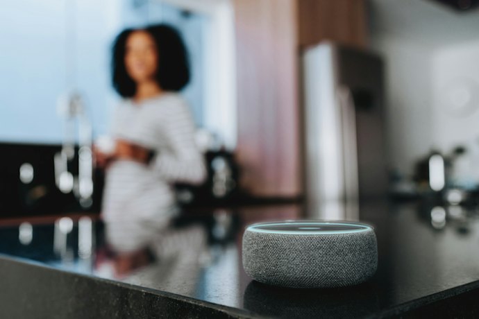 Para Controlar a Luz sem Usar as Mãos, Prefira um Interruptor com Comando de Voz Nativo