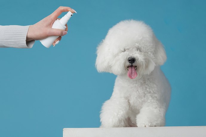 Se o Foco É Remédio para Carrapato em Cachorro Filhote, Escolha Versões em Spray