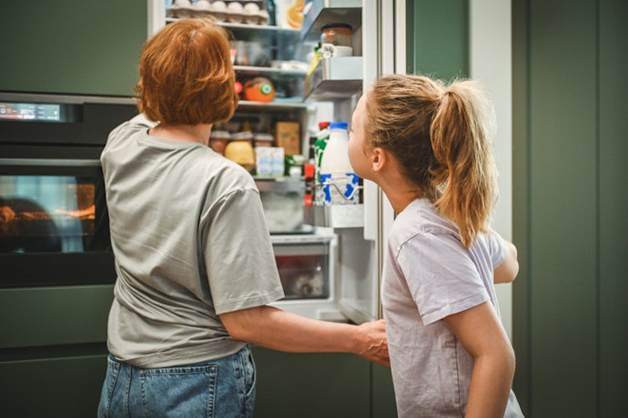 Para Famílias de 3 a 4 Pessoas, Escolha Geladeiras Econômicas de 400 a 500 Litros