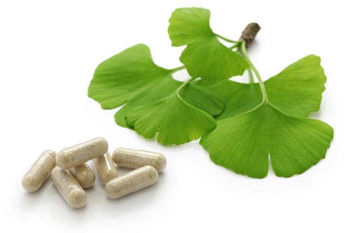 Para Saúde Cognitiva, Opte por Suplemento para o Cérebro com Ômega 3 DHA, Ginkgo Biloba e Mais
