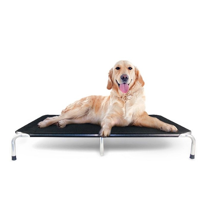 Cama Suspensa para Cachorro: Prática e Indicada para Regiões Quentes
