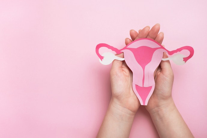 Para Sintomas da Menstruação e Menopausa, Escolha Cimifuga, Q10 e Isoflavionas