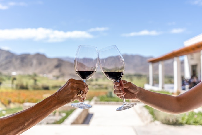 Se Aprecia Aromas Intensos sem Acidez, Escolha Vinho Argentino Doce