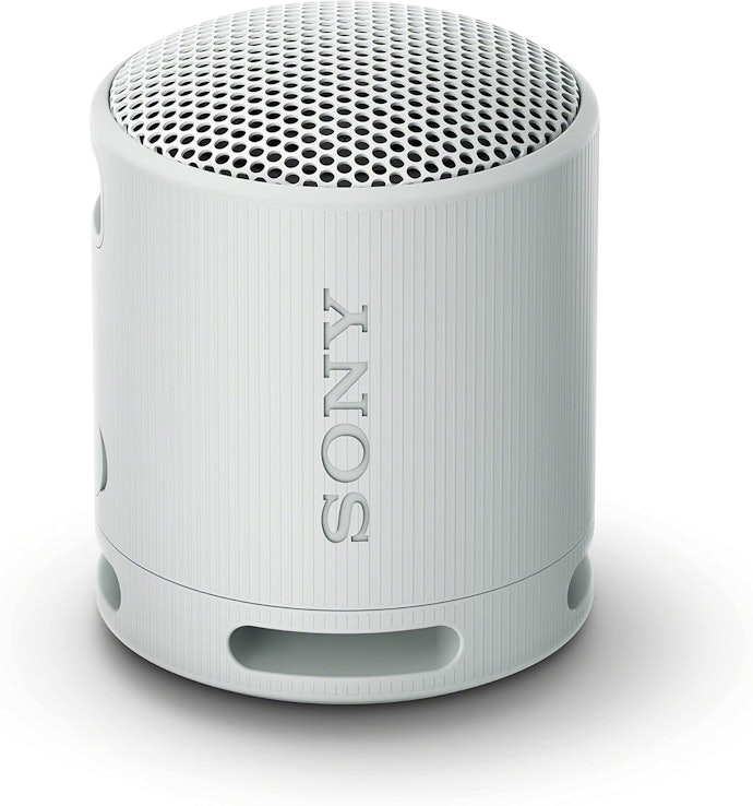 Para Levar a Qualquer Lugar com Praticidade, Prefira uma Caixa de Som Sony SRS-XB100
