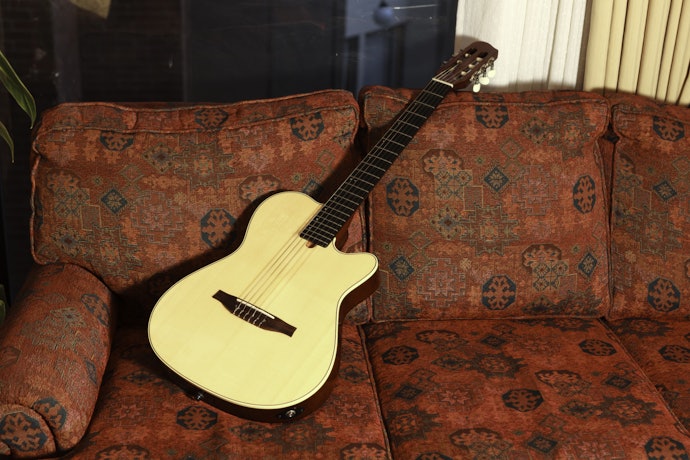 Violão Elétrico: Ideal para Músicos Experientes e Apresentações em Palcos