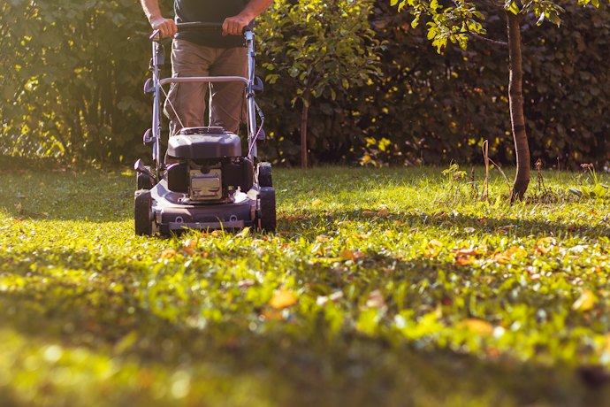 Para Terrenos Irregulares ou Gramado Misto, Opte por Cortadores com 6 ou Mais Posições