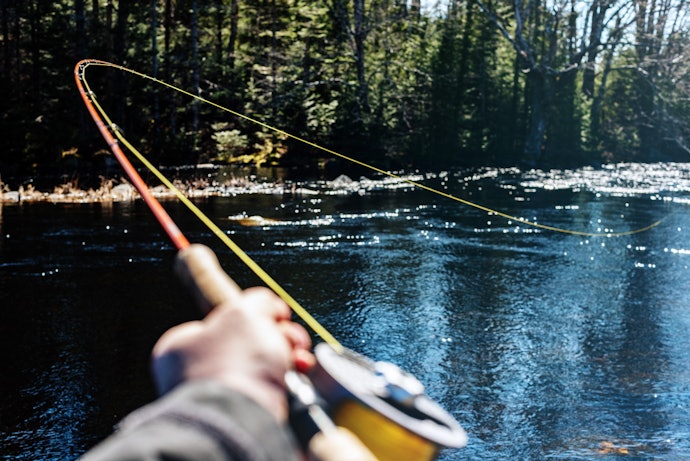 Linha de Pesca Multifilamento: Mais resistência e Sensibilidade