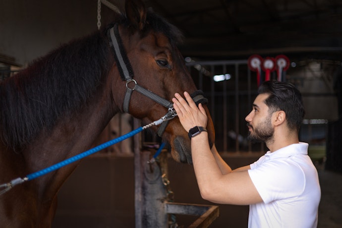 Para Veterinários, Opte por um Cabresto de Contenção