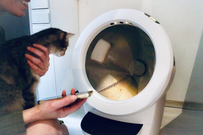 Se Tem Muitos Gatos ou Rotina Corrida, Opte por uma Caixa de Areia para Gatos Autolimpante