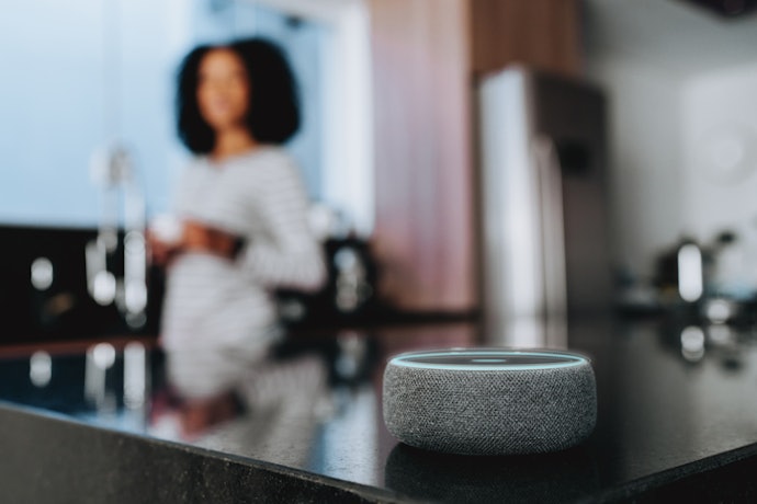 Para Controlar a Luz sem Usar as Mãos, Prefira um Interruptor com Comando de Voz Nativo