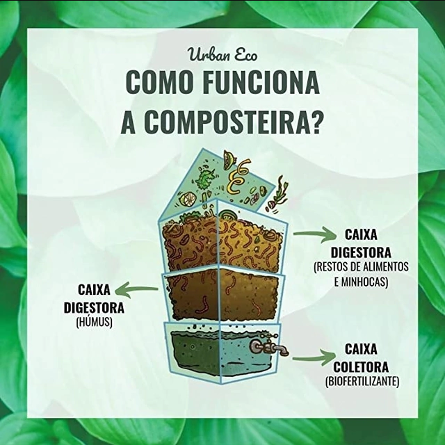 Composteira com Vermicompostagem: Resultado Mais Rápido