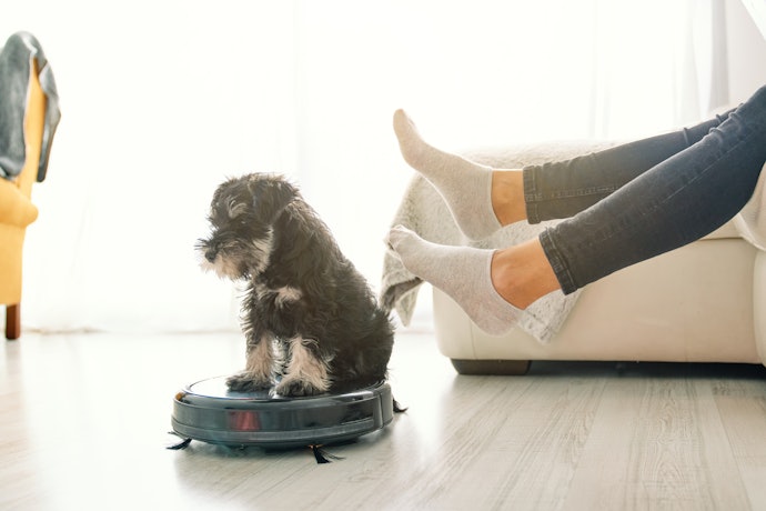 Para Casas com Pets ou Tapetes, Escolha Robô Aspirador com Potência entre 4.000 e 6.000 Pa