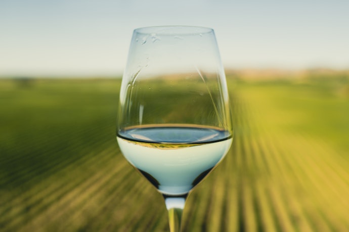 Vinhos Verdes Portugueses: Produtos Únicos de Portugal