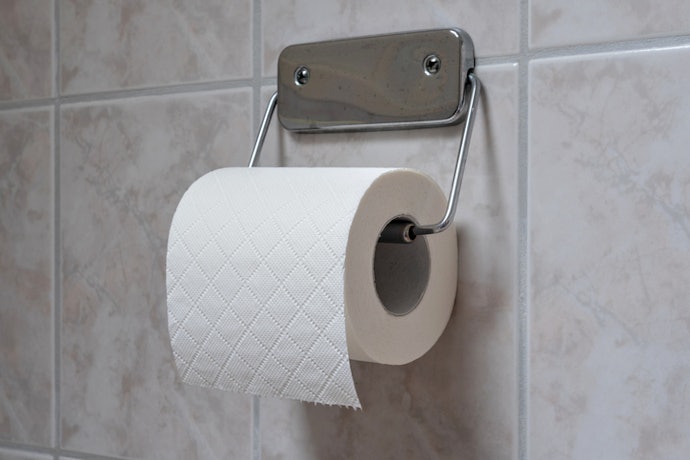 Para Maior Estabilidade em Longo Prazo, Prefira um Porta-Papel Higiênico de Parede Fixo