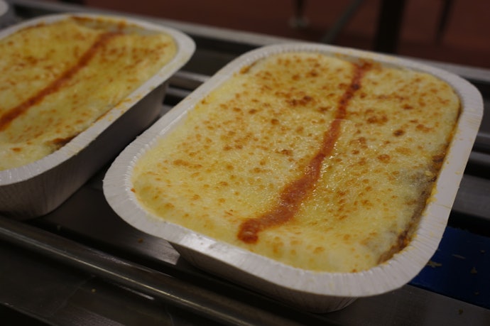 Forno de Convecção: Ótimo para Restaurantes e Lancherias