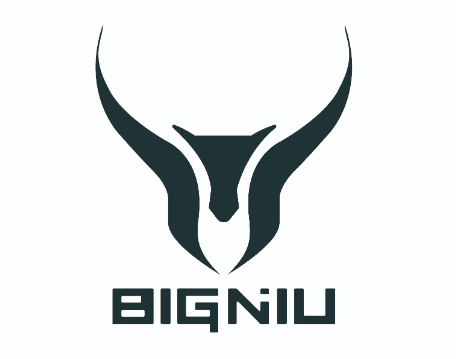 Bigniu: Marca Chinesa Focada em Preço Baixo