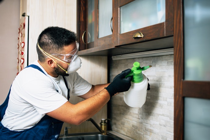 Para Uso Interno e Prevenção, Escolha um Cupinicida à Base de Água