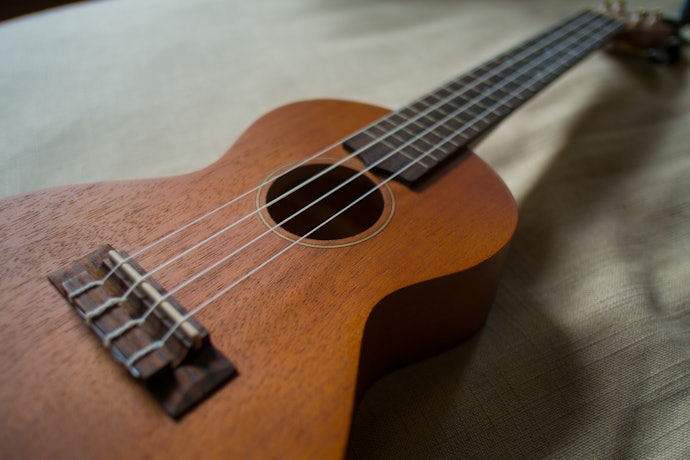 Mogno e Sapele: Madeiras Utilizadas nos Modelos de Entrada