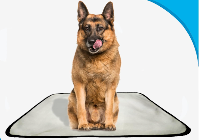 Para Cães de Porte Grande, Escolha um Tapete Higiênico Lavável 100 x 90 ou 100 x 70 cm