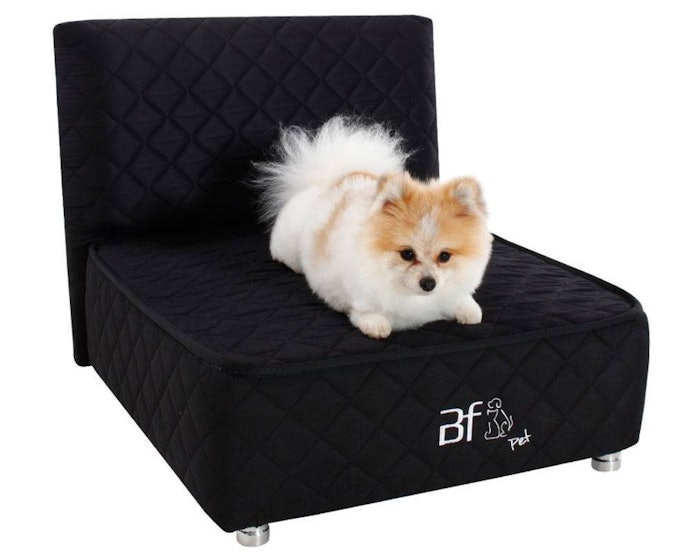 Cama Box para Cachorro: Sofisticadas, mas Pouco Recomendada para os Idosos