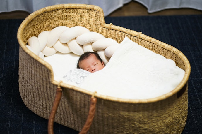 Berços Acoplados e Moisés São os Modelos Certos para Bebês que Dormem ao Lado da Cama