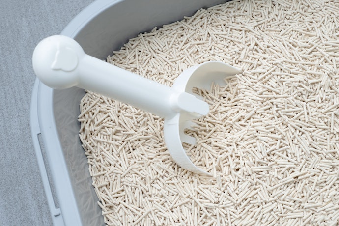 Quer Evitar Rastros pela Casa? Prefira Grãos Grossos ou Pellets