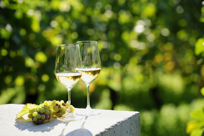Taças para Vinho Branco: Menores e com Bojo Mais Estreito para Manter a Temperatura