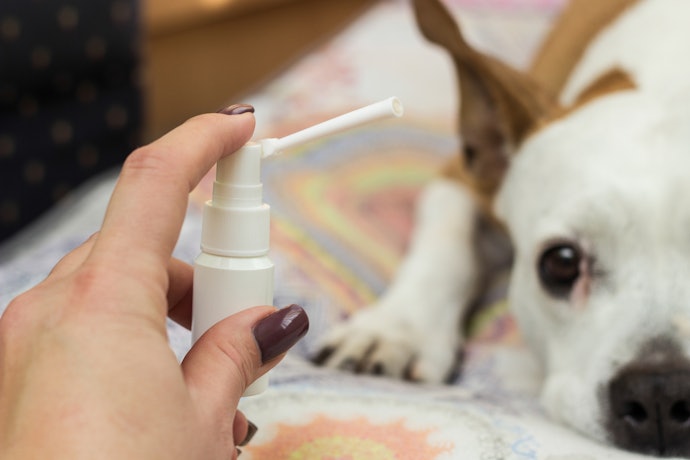 Para Ação Direta e Uso em Filhotes Abaixo de 2 Meses de Vida, Prefira o Remédio em Spray