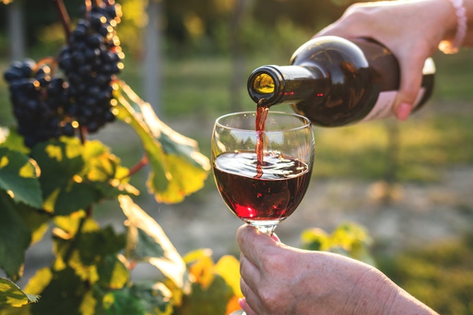 Quer Vinho para Iniciantes? Opte por Carmenère, Malbec, Merlot, Tempranillo ou Sauvignon Blanc