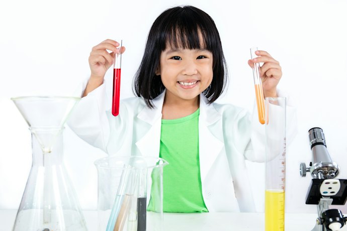 Para Aprender Brincando: Brinquedos com Temas Estudados na Escola