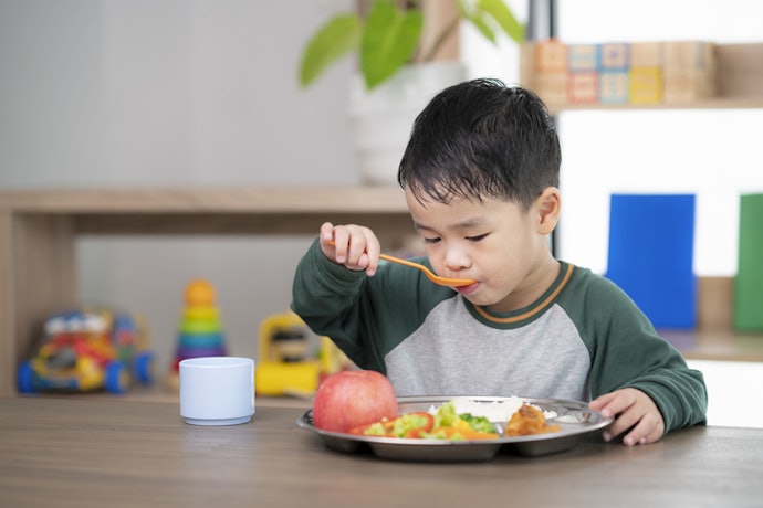 Quer Apenas Complementar a Dieta? Prefira Fórmulas Simples com Nutrientes Essenciais
