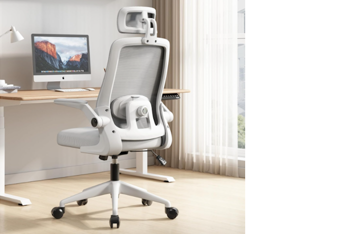 Se Sente Dores na Coluna, Opte por uma Cadeira Ergonômica com Ajuste para a Lombar
