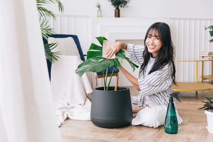 Para Plantas de Porte Grande, Opte por Vasos de 50 cm de Diâmetro ou Mais