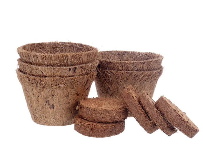 Vasos de Fibra de Coco: Opções Sustentáveis para as Orquídeas